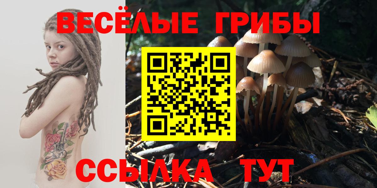 Лянтор  Галлюциногенные грибы Cubensis  Вход с VPN 