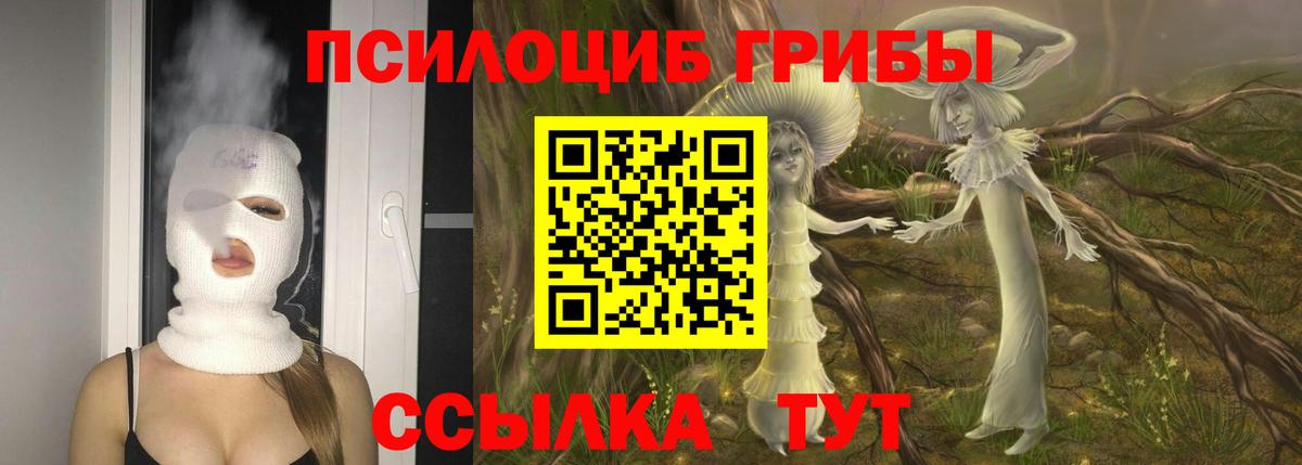 Галлюциногенные грибы Cubensis Лянтор